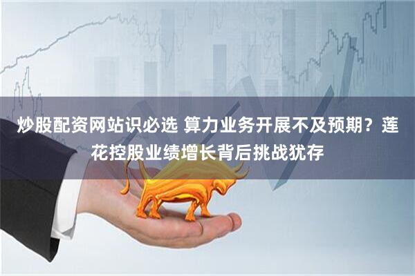 炒股配资网站识必选 算力业务开展不及预期？莲花控股业绩增长背后挑战犹存